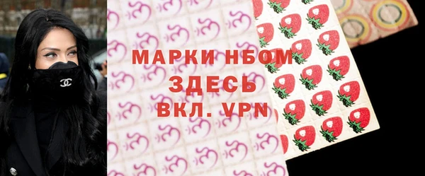 гашик Алексин