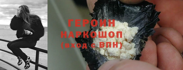 гашик Алексин