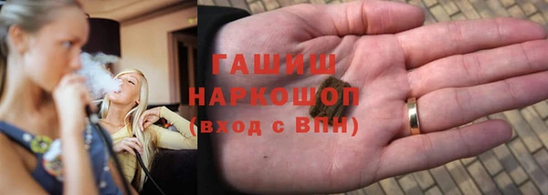 гашик Алексин