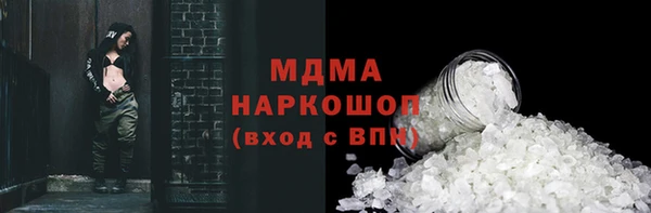 гашик Алексин