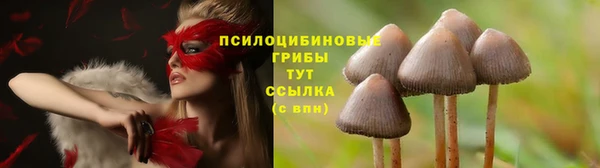 2c-b Киреевск