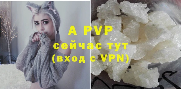 гашик Алексин