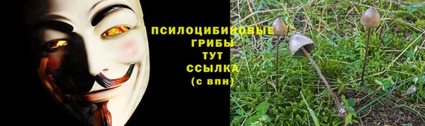 гашик Алексин
