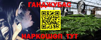 крисы Кулебаки