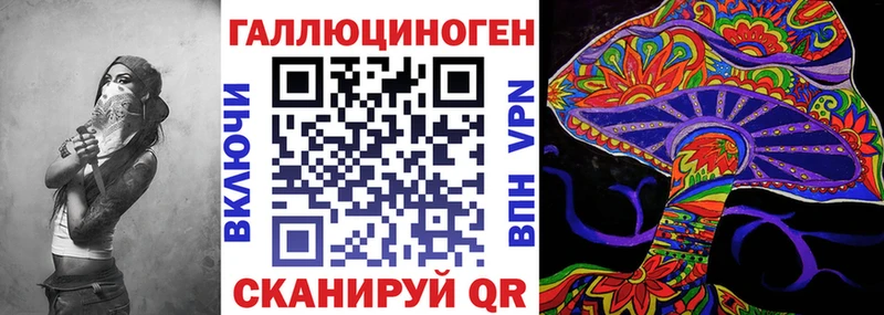 дарнет шоп  Коряжма  Псилоцибиновые грибы MAGIC MUSHROOMS 