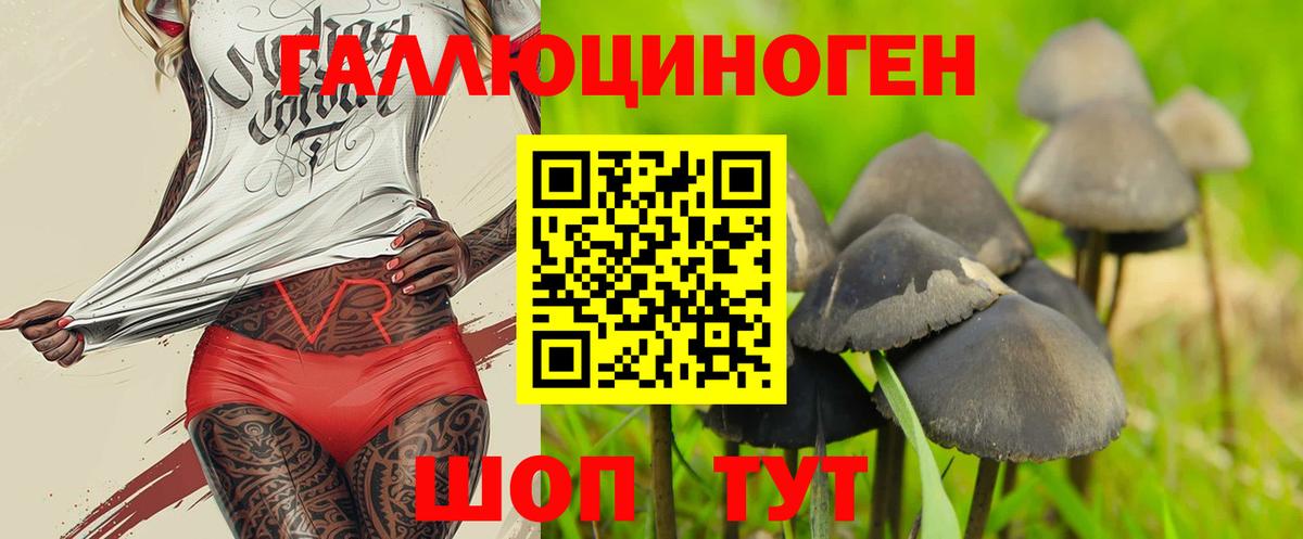 где купить   Галлюциногенные грибы Psilocybe  Вход с VPN  Коряжма 