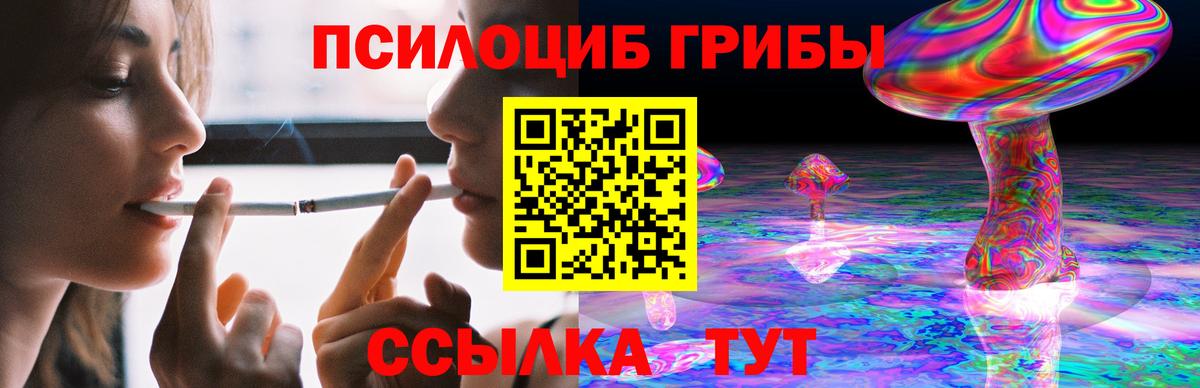 Псилоцибиновые грибы прущие грибы Коряжма